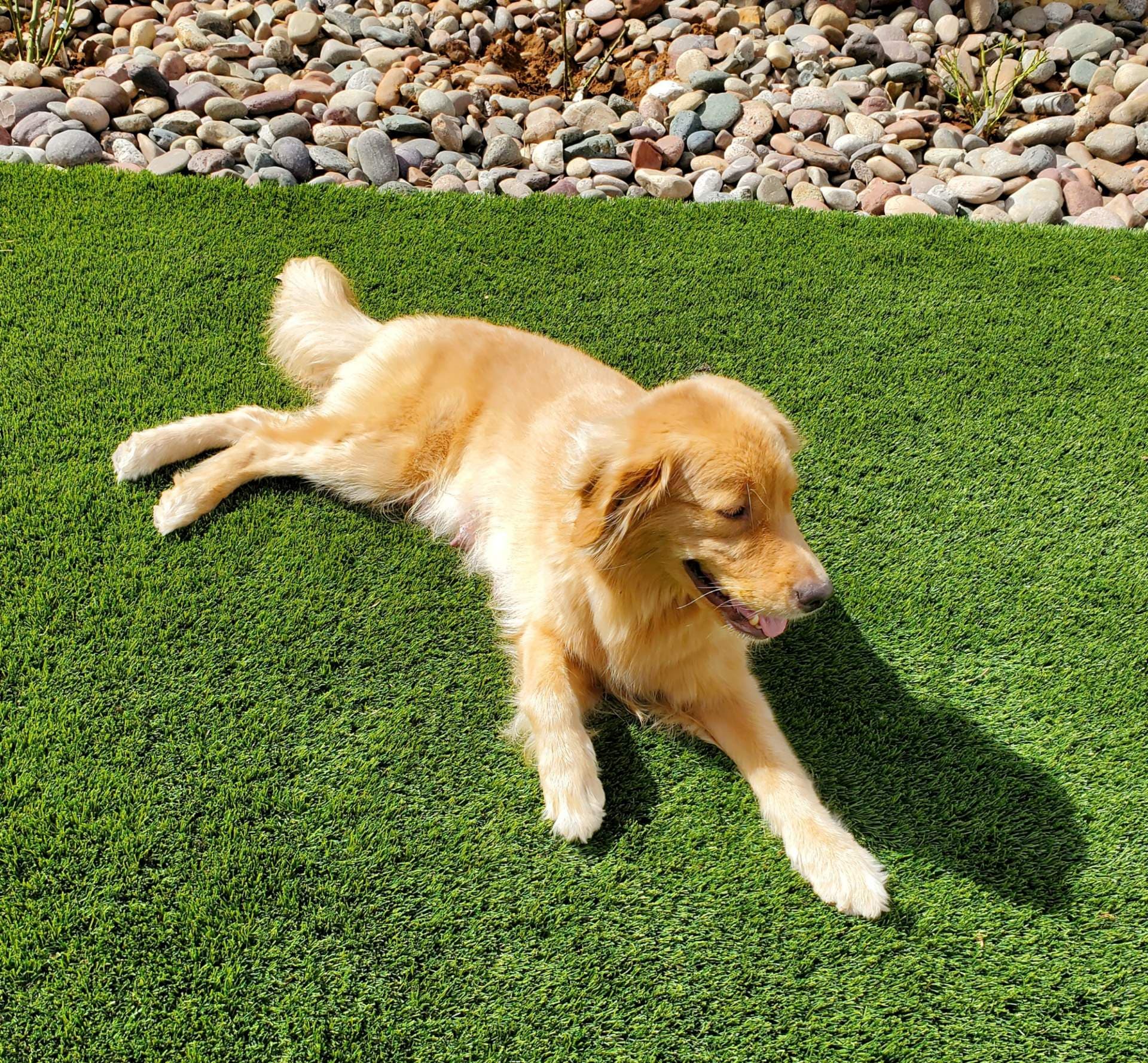 Theodore Sacred Talisman